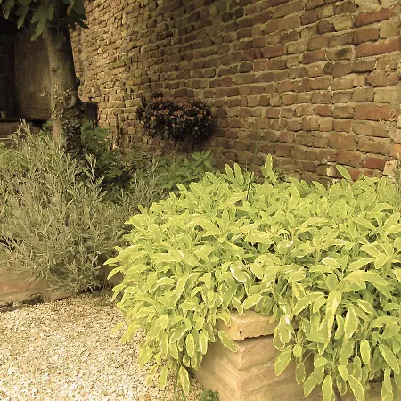 Agriturismo San Carlo Çiftlik konaklama Pescarolo ed Uniti